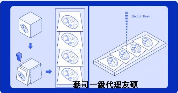 铁门关蔡司铁门关扫描电镜