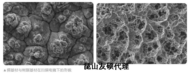 铁门关蔡司铁门关扫描电镜