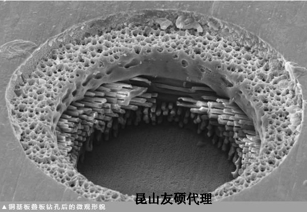 铁门关蔡司铁门关扫描电镜